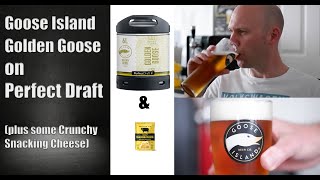 Goose Island Golden Goose on Perfect Draft, how nice is this one?