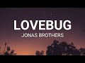 Capture de la vidéo Jonas Brothers - Lovebug (Lyrics)