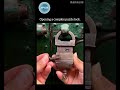 This Ancient Puzzle Lock Has a GENIUS Hidden Mechanism #puzzle #shorts