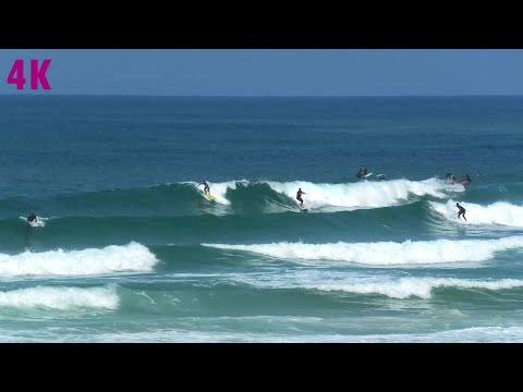 Video: Sådan Padler Du Ud Til En Berømt Eller Lokal Surf Break & Få Respekt - Matador Network