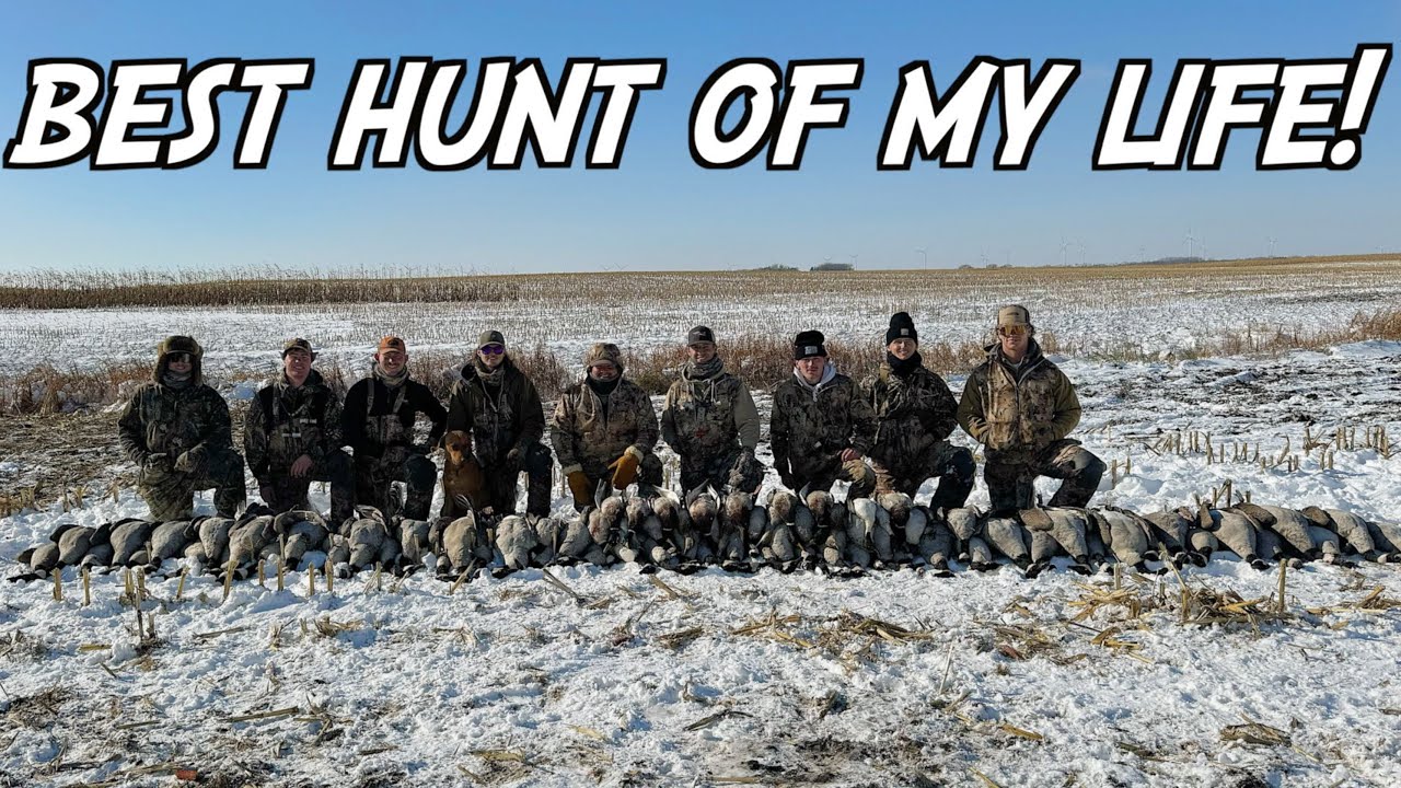 EPIC 75 Bird Hunt! North Dakota Goose Hunting 2023 YouTube