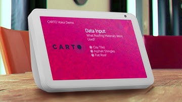 VOGO Voice - CARTO Voice Demo Video
