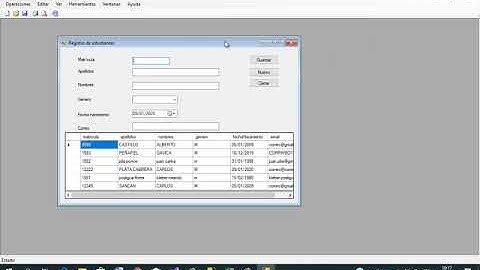 C# Curso Básico - CRUD - Formulario MDI  - 06