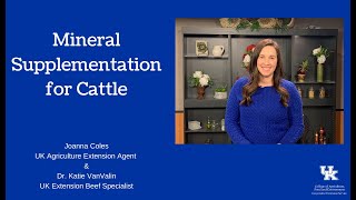 Mineral Supplementation for Cattle