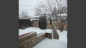 Kv2708-You Refuse Security and Solutionism to All Living Species