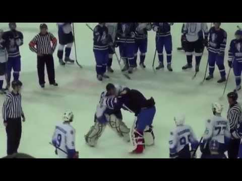 hockey goalie fights