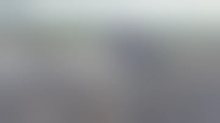 Baboons Mating *Not for sensitive viewers* #Shorts | Great Plains Conservation