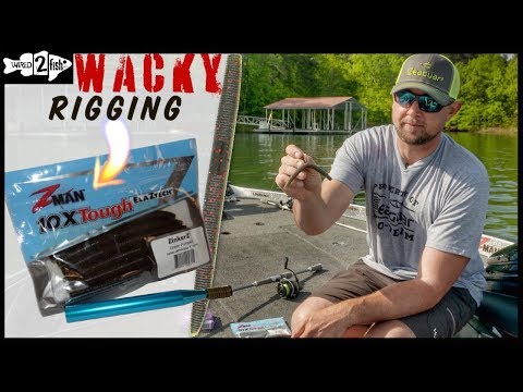 How to Wacky Rig Z-Man ElaZtech Without O-Rings 