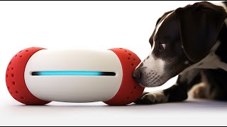 UPGRADE YOUR PETS LIFE WITH THESE ESSENTIAL GADGETS screenshot 4