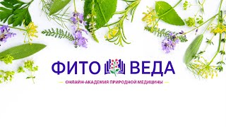Фитотерапевт профессия будущего