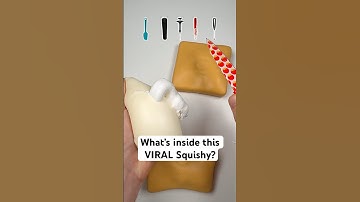 What’s Inside this VIRAL Squishy?