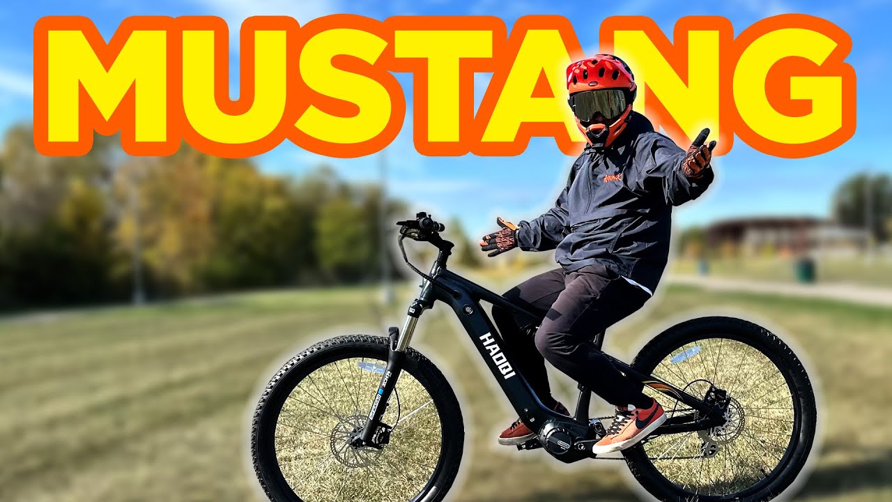 HAOQI ebike Background playback button