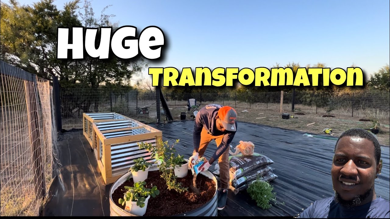 Грандиозное преображение сада своими руками!!! || Строим нашу вечную усадьбу || 10 акров