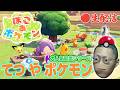 【ぽこあポケモン】てつやの究極ポケモン王国を作り上げます。