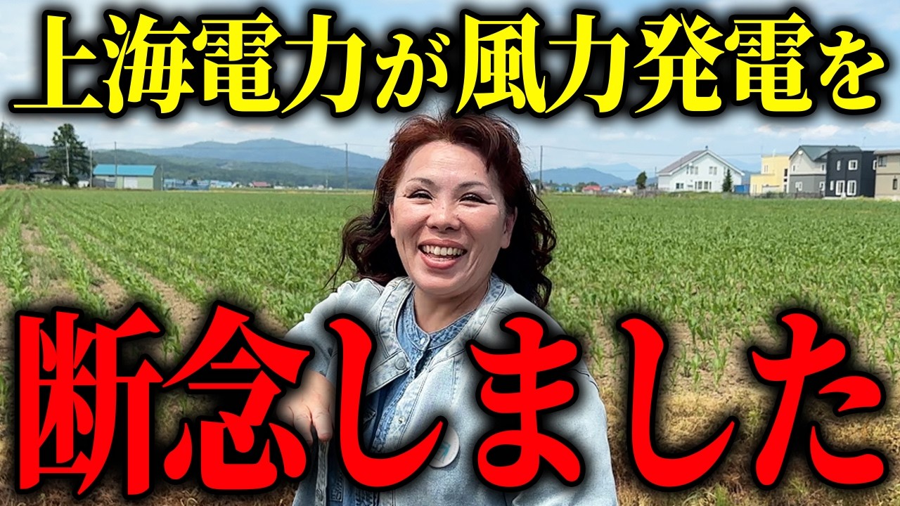 上海電力の風力発電計画に住民が立ち向かった結果…【山本貴子】