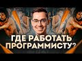 Где работать программисту? 5 типов IT-компаний и фриланс