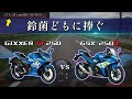 スズキ 250cc フルカウルを徹底比較!これを見れば意志が固まるはず。【ジクサーSF250, GSX250R】※雑談あり
