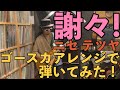 【弾いてみた】謝々!【ニセ テツヤ】