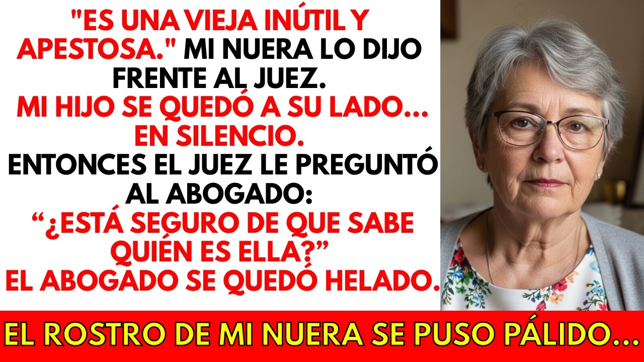 Mi nuera me llamó “inútil” en el tribunal — el juez hizo una pregunta…