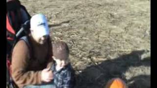 Pickin' Pumpkins