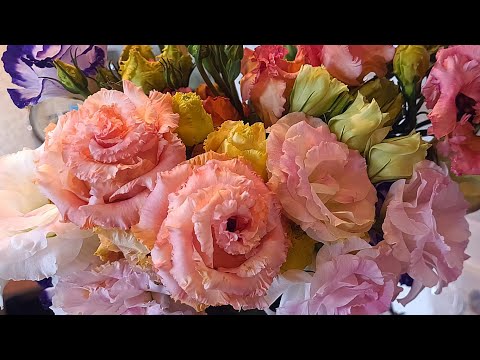 Как сохранить эустому