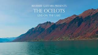 The Ocelots "Basket Case" live on the lake