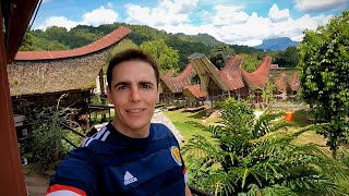 $60 Village Homestay in Toraja, Indonesia 🇮🇩 screenshot 3