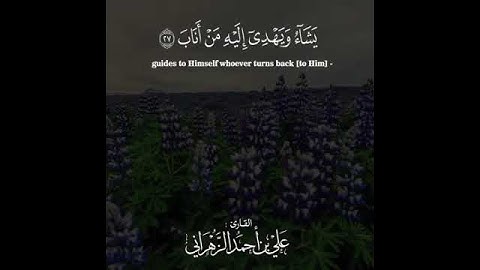ماتيسر من سورة الرعد