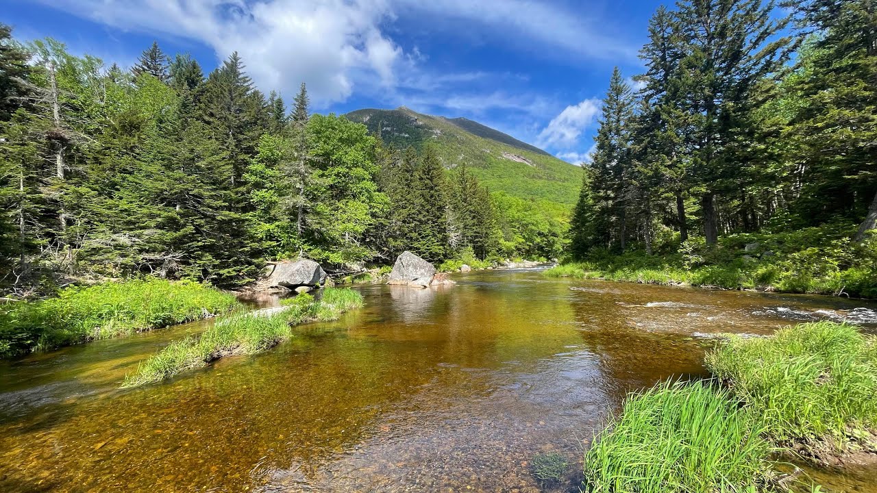 Fly Fishing the Nesowadnehunk stream in Baxter state park!! (Part 1)