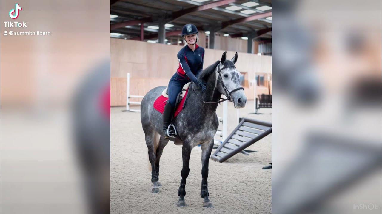 This Esme and Joey 🌈 color edit!! equestrian viral horses YouTube