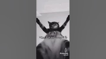 Thumbnail of الله يازينه حبيب الطينه 😂😂