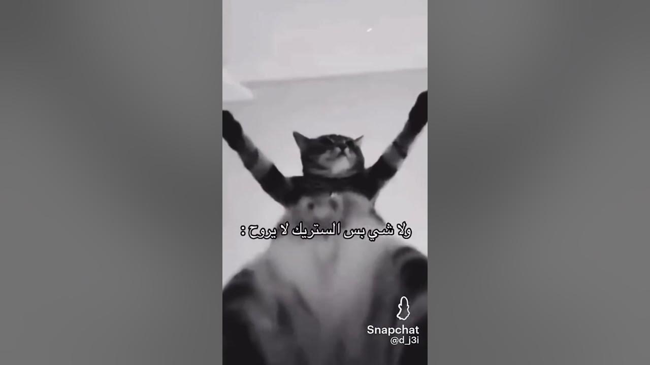 الله يازينه حبيب الطينه 😂😂