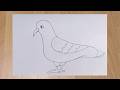 Kolay güvercin nasıl çizilir 🕊️ How to draw a pigeon easy #pigeon #pigeondrawing 