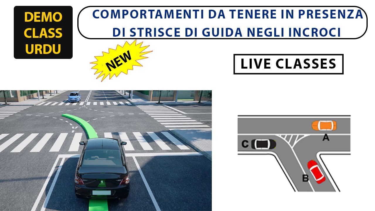 TEST CLASS | Comportamenti Da Tenere in Presenza di Strisce Di Guida