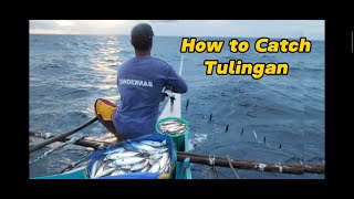 How to catch Tulingan | KABANTAY