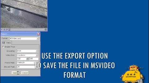 Convert Quicktime to Microsoft Movie Format