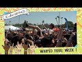 I Am Second on Warped - First Day Recap