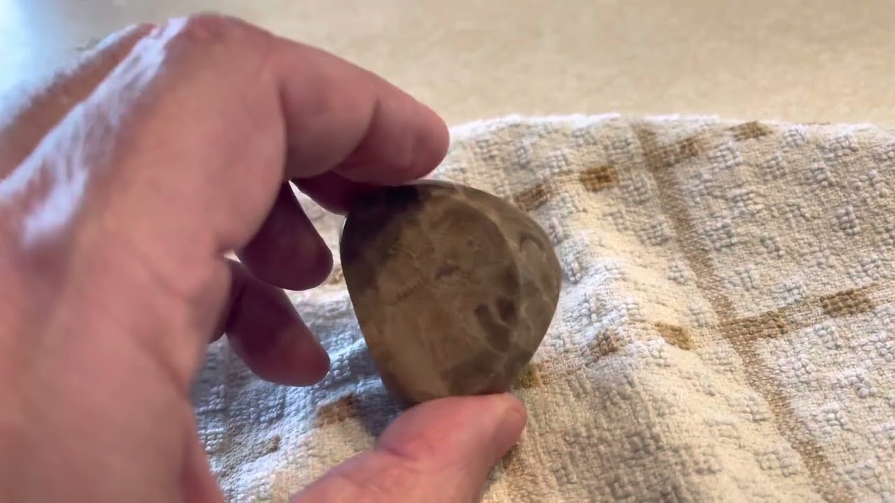 A hand polished a Petoskey stone.