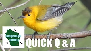 Quick Q & A - Answering Viewer Questions