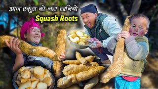 Download Lagu We are Digging Squash roots for SANGKRANTI \u0026 cooking, eating | organic Roots digging | Village vlog MP3