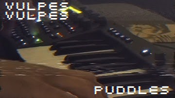 Vulpes Vulpes - Puddles - Live Loop Jam w/ Elektron Digitone Keys