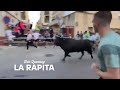 EN DIRECT XX Congreso nacional de toro con cuerda La Rapita le 26/09/2025 