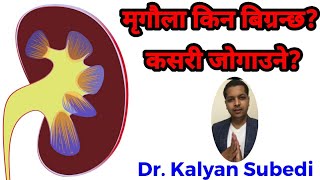 किड्नी खराब (Kidney Failure) किन हुन्छ? कसरी बच्ने? //Dr.Kalyan Subedi//