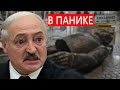 Лукашенко в страхе даёт новые обещания / новости Данута Хлусня