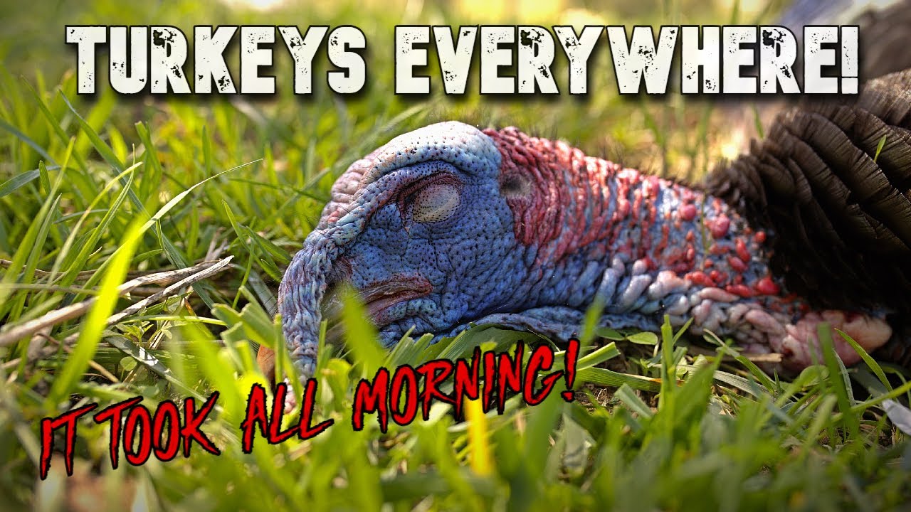 На это ушло всё утро! - Охота на индейку в молодёжные выходные!