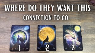 🧭🦉What are Their INTENTIONS... Where do they want this relationship to go. Pick A Card Love Tarot