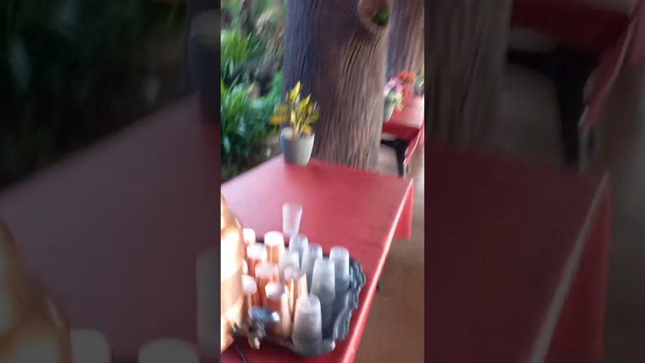 small tour @ shivaaz farm dodamarg