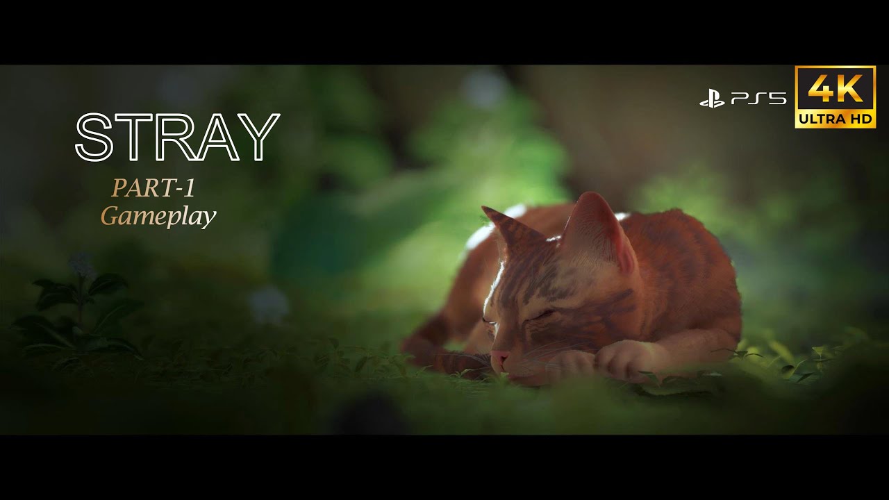 STRAY Gameplay Walkthrough Part 1 [4K HD 60FPS PS5] – No Commentary ...