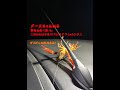 ダースちゃんねる 車のアンテナで魚を釣ってみた。