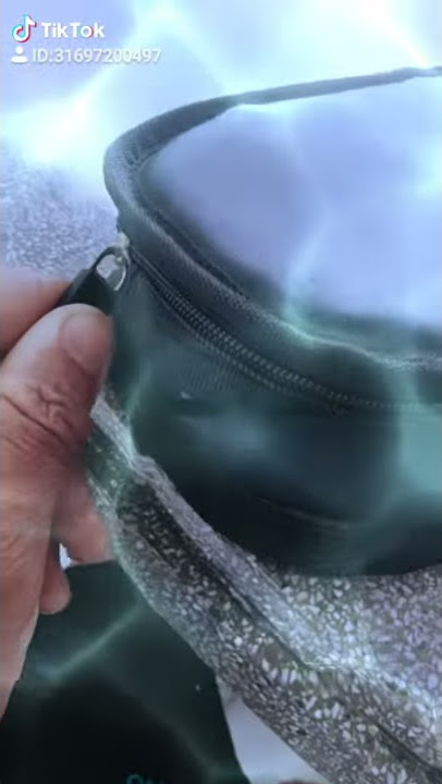 Pcp tiktok